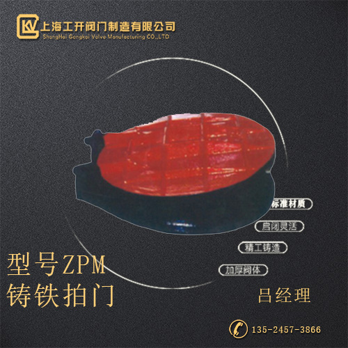 ZPM鑄鐵拍門(mén)