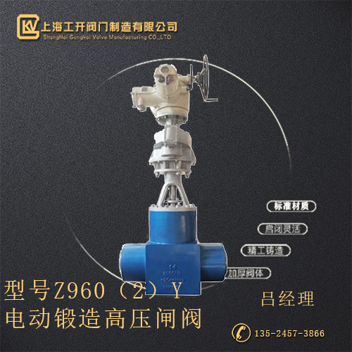 Z960（2）Y電動(dòng)鍛造高壓閘閥