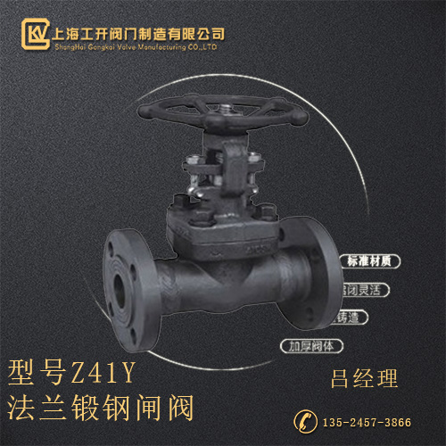 Z41Y法蘭鍛鋼閘閥